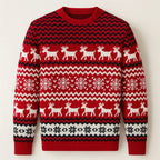Christmas sweater Daily Delight